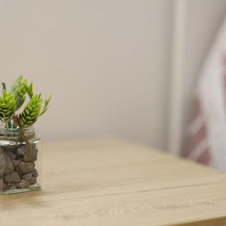 Casa Vacanze Il Confetto 苏尔莫纳 外观 照片